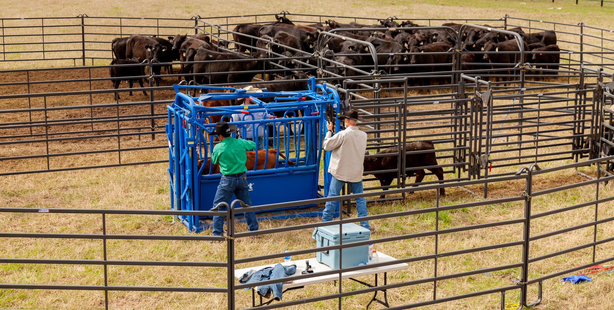 Priefert Premier Open Sweep Corral IMG 9453.jpg